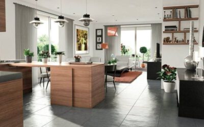 Cohousing y dependencia