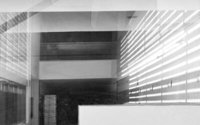 Empezando a diseñar «Olivar Plaza»